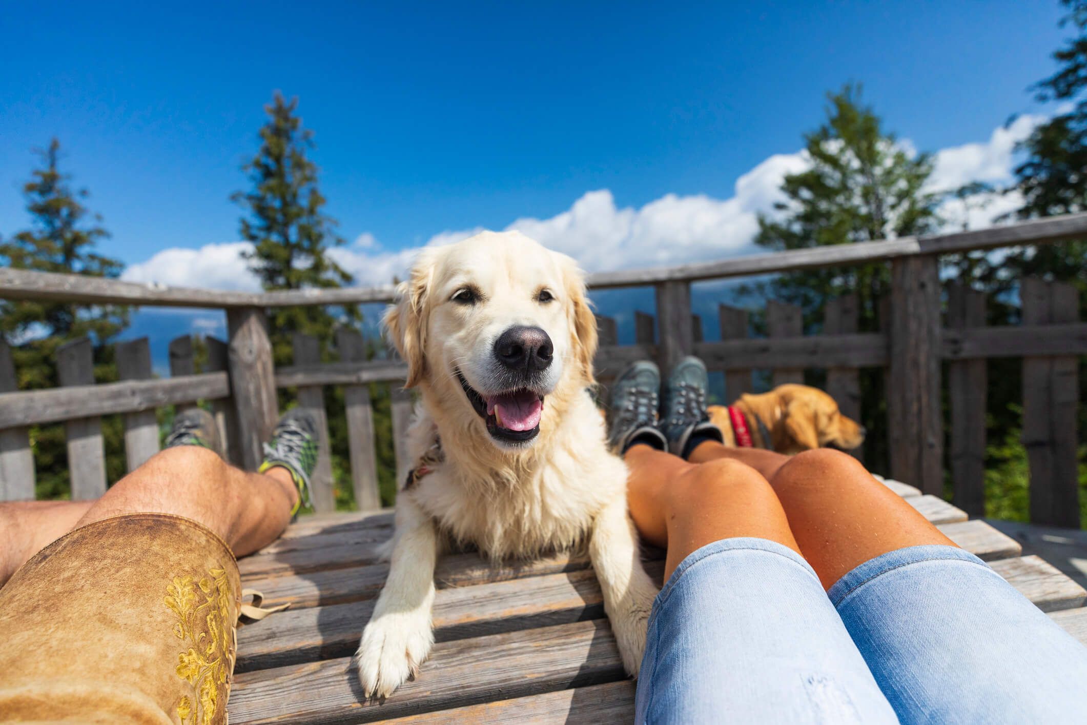 GlampingUrlaub mit Hund ALPS RESORTS